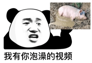 我有你的视频表情包
