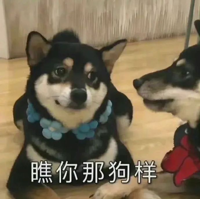 瞧你那狗样