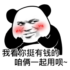 我看你挺有钱的 咱俩一起用呗~