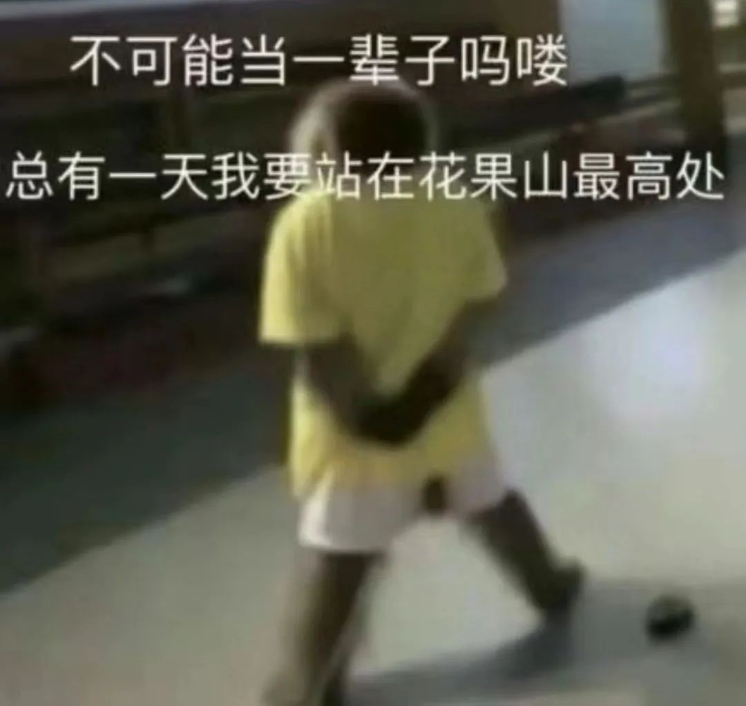 不可能当一辈子吗喽 总有一天我要站在花果山最高处
