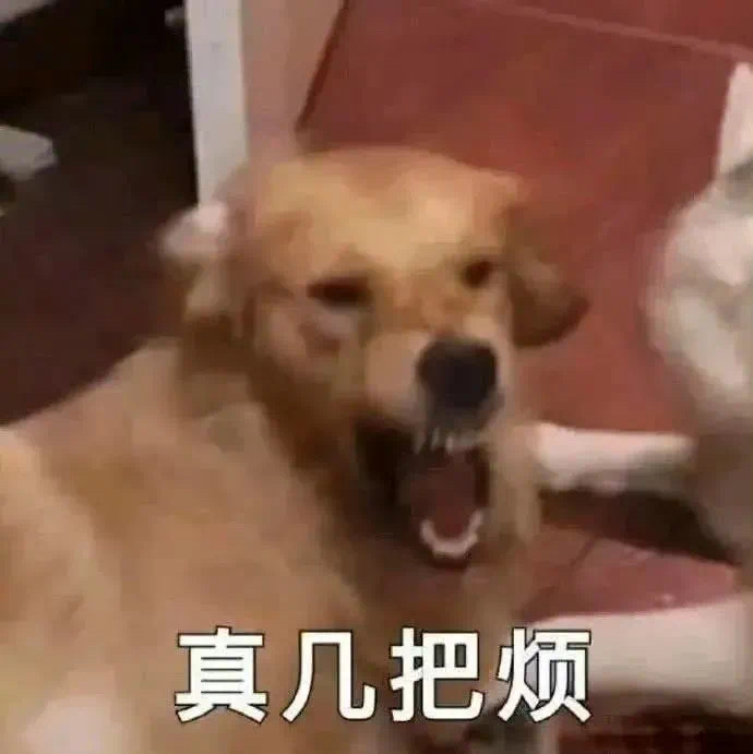 真几把烦