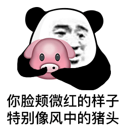 你脸颊微红的样子 特别像风中的猪头