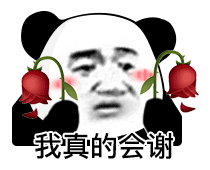 我真的会谢 熊猫人拿花
