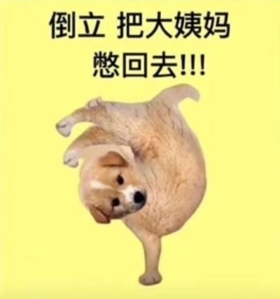 倒立 把大姨妈 憋回去！！！
