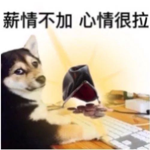 薪情不加 心情很拉