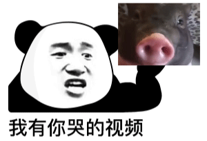 我有你的视频表情包