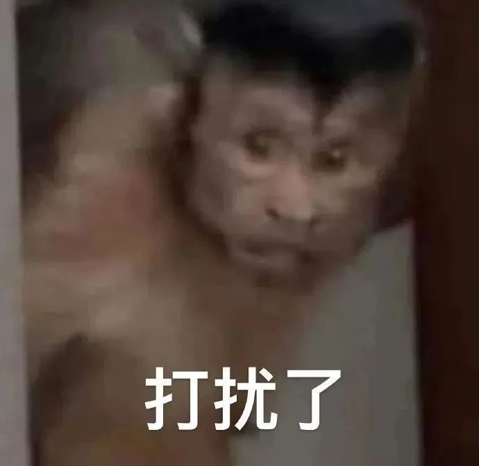 打扰了