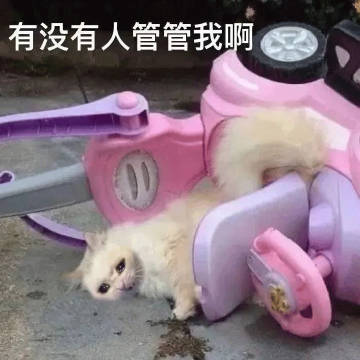 有没有人管管我啊