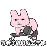 等老子练好就去干你