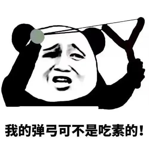 我的弹弓可不是吃素的！