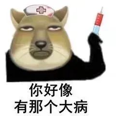 你好像 有那个大病