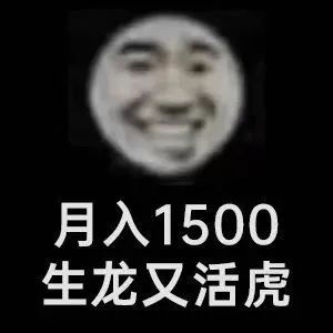 月入1500 生龙又活虎