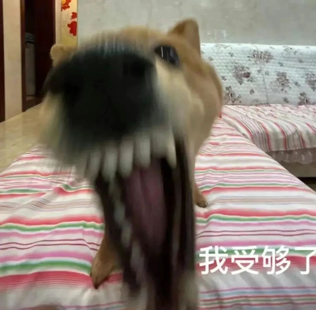 我受够了