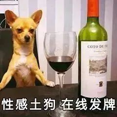 性感土狗 在线发牌