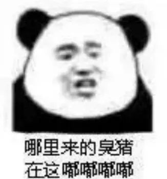 哪里来的臭猪 在这嘟嘟嘟嘟