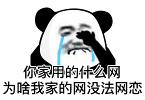 你家用的什么网 为啥我家的网没法网恋