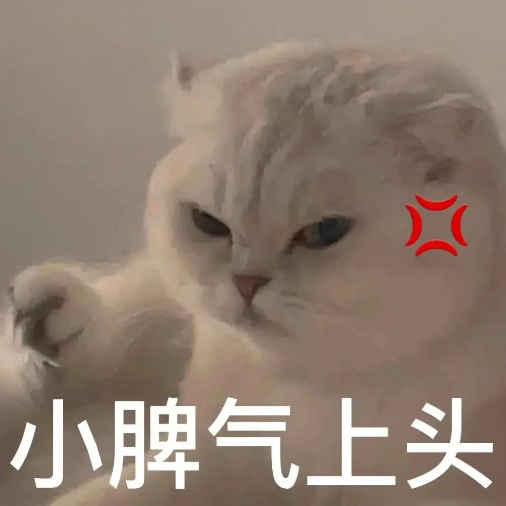 小脾气上头