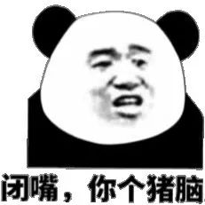 闭嘴，你个猪脑