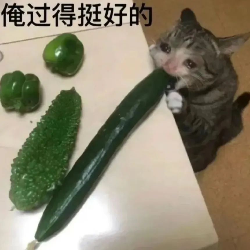 俺过得挺好的