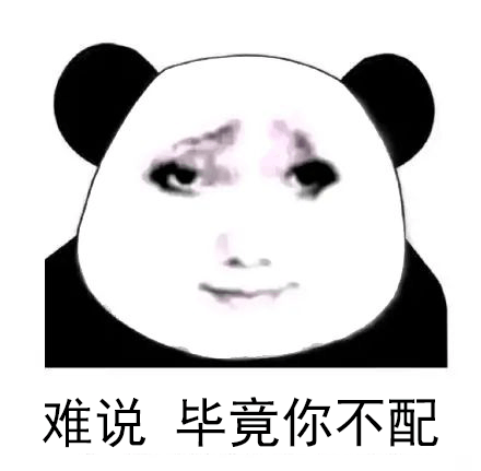 难说 毕竟你不配