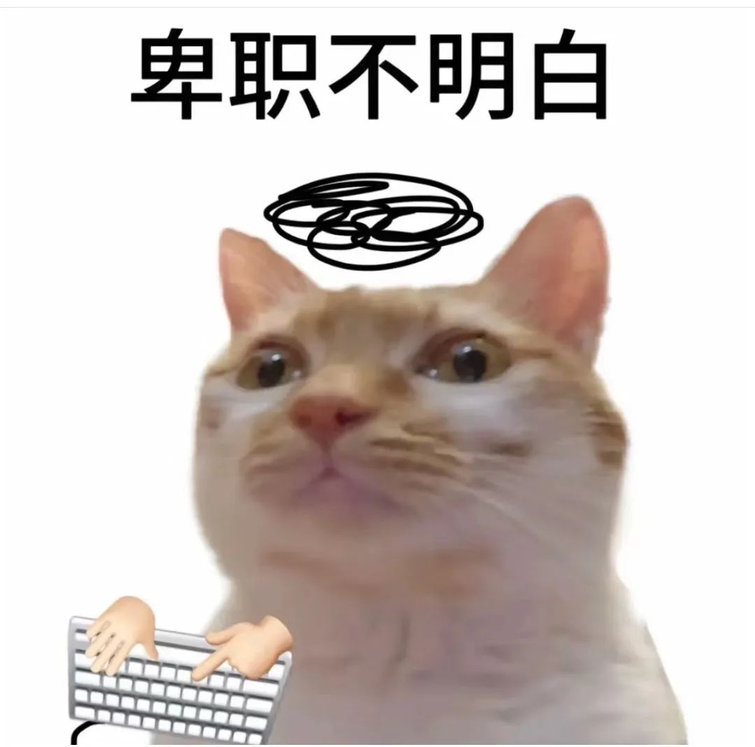 卑职不明白