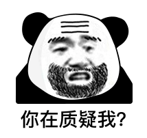 你在质疑我？