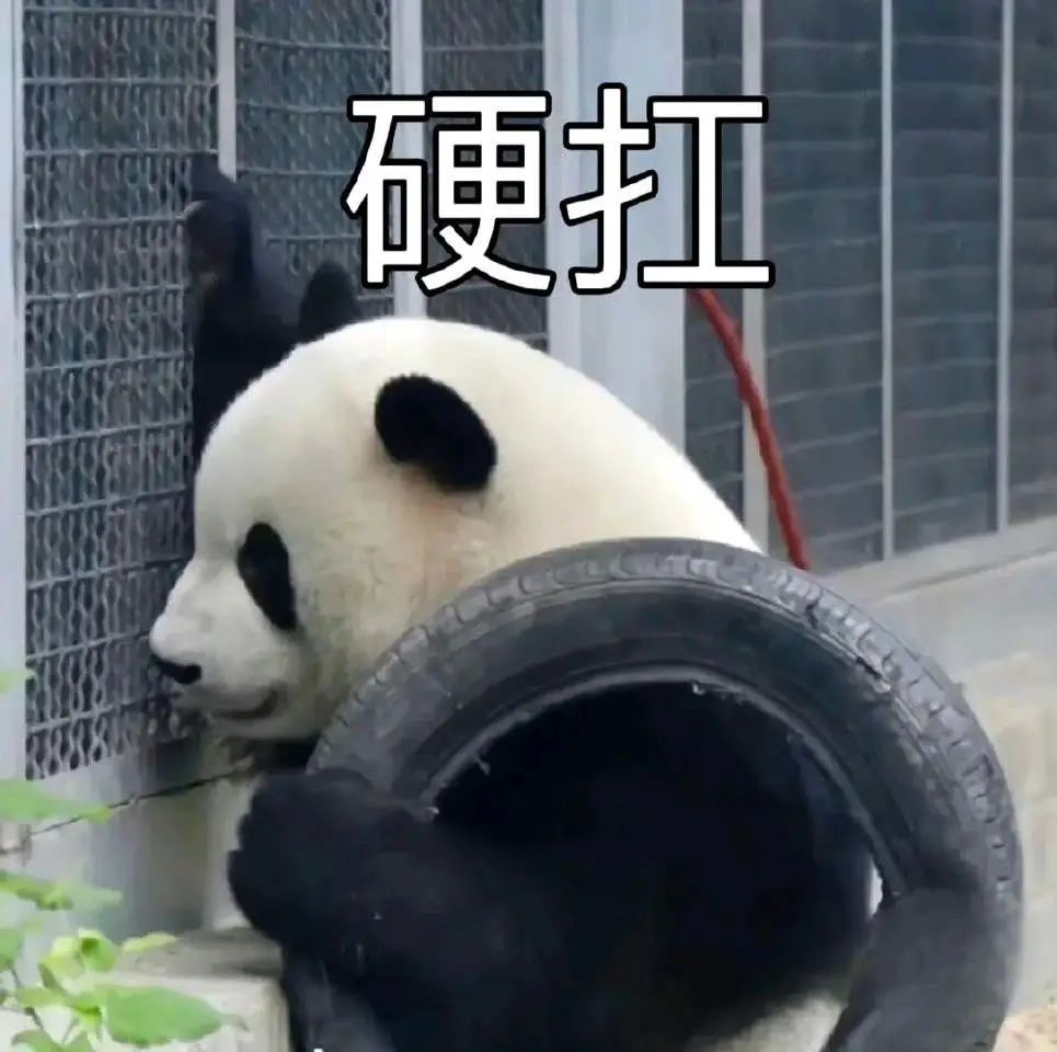 硬扛
