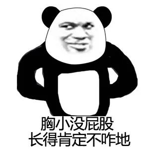 胸小没屁股 长得肯定不咋地