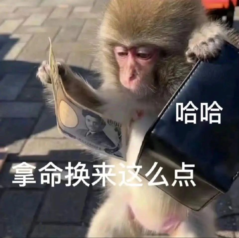 哈哈 拿命换来这么点