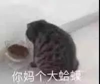 你妈个大蛤蟆