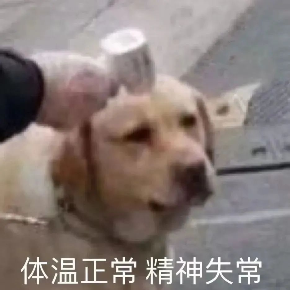 体温正常 精神失常