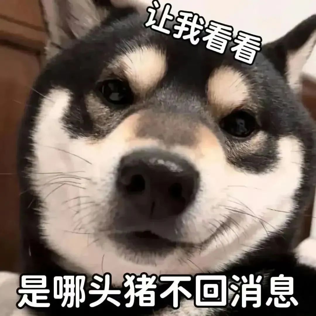 是哪头猪不回消息