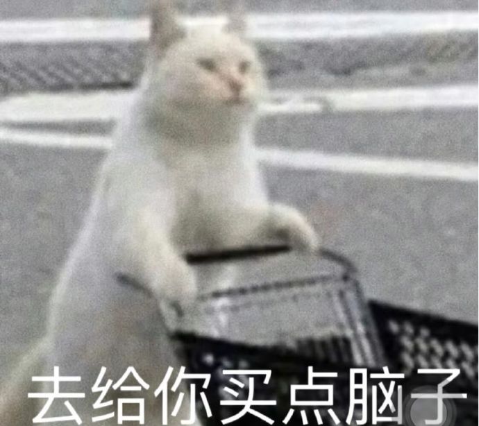 去给你买点脑子