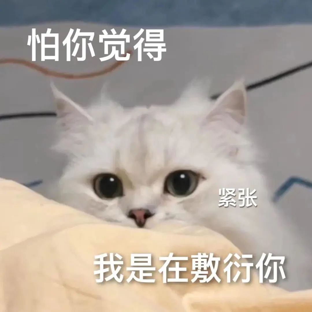紧张 怕你觉得 我是在敷衍你