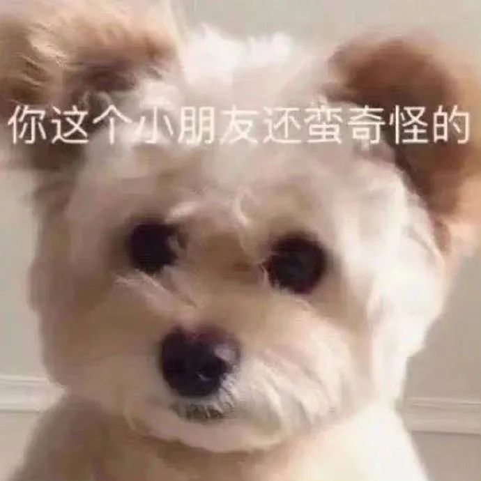 你这个小朋友还蛮奇怪的
