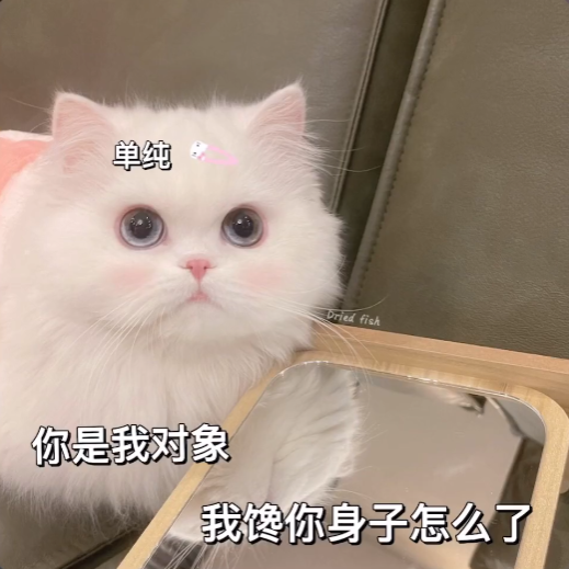 单理 你是我对象 我馋你身子怎么了