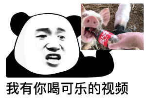 我有你的视频表情包