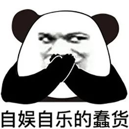 自娱自乐的蠢货
