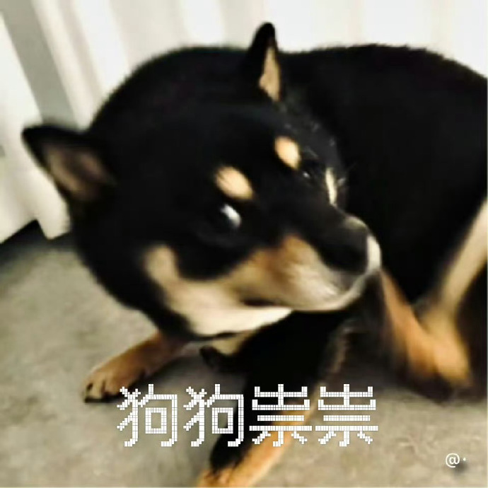 狗狗祟祟 