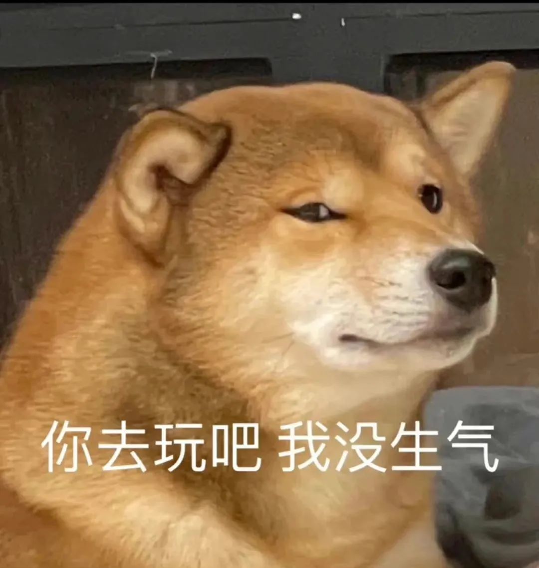 你去玩吧 我没生气