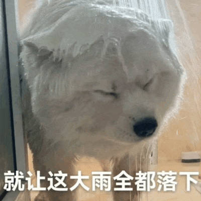 就让这大雨全都落下