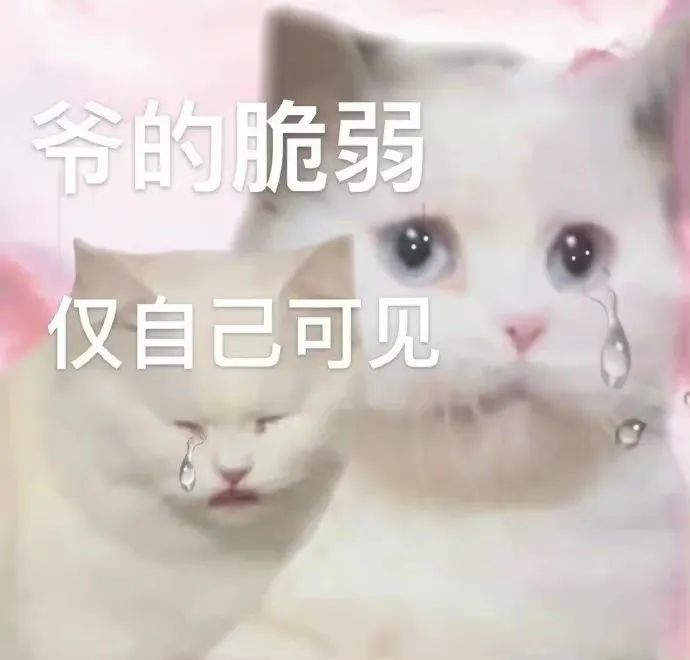 爷的脆弱 仅自己可见