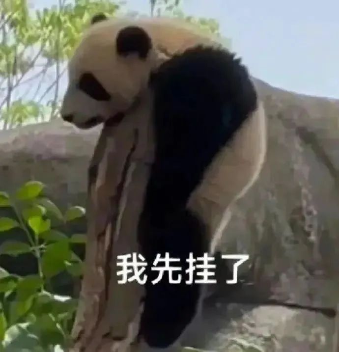 我先挂了