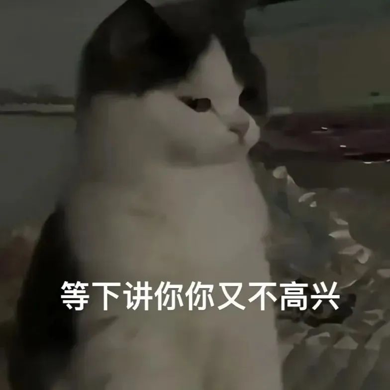 等下讲你你又不高兴