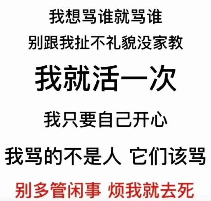 我想骂谁就骂谁 别跟我扯不礼貌没家教 我就活一次 我只要自己开心