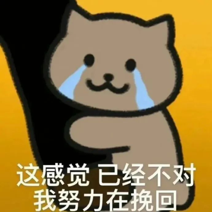 这感觉 已经不对 我努力在挽回