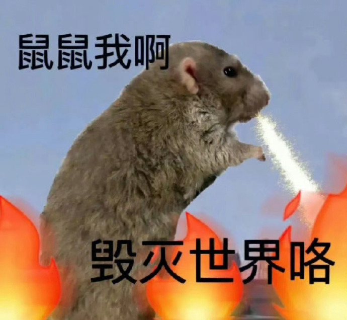 鼠鼠我啊 毁灭世界咯