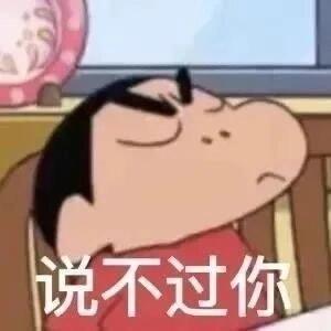 说不过你