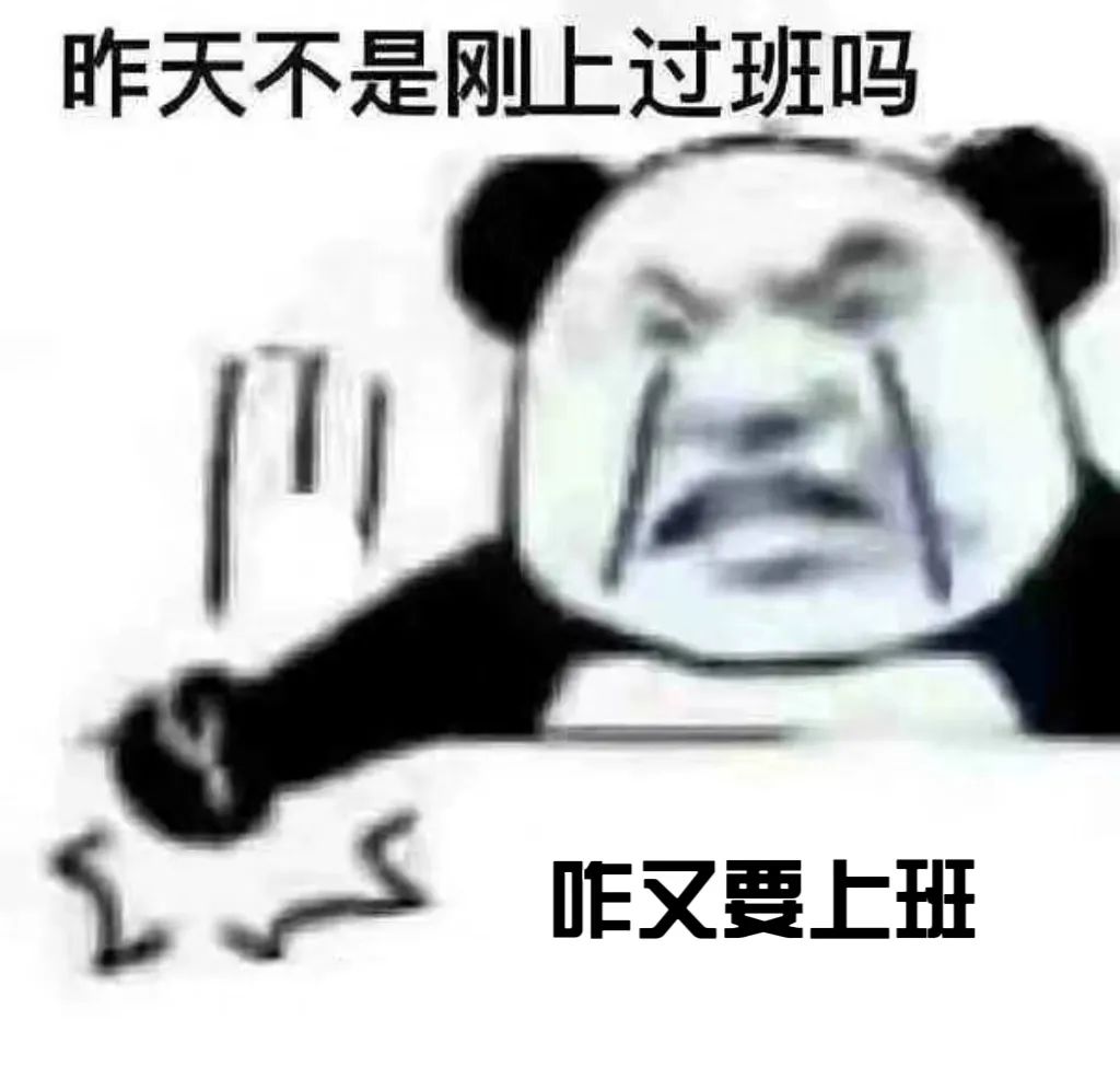 昨天不是刚上过班吗 咋又要上班