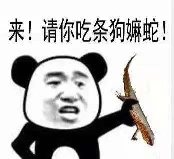 来！请你吃条狗嫲蛇！